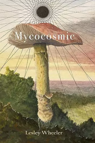 Mycocosmic cover