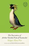 The Narrative of Arthur Gordon Pym of Nantucket cover