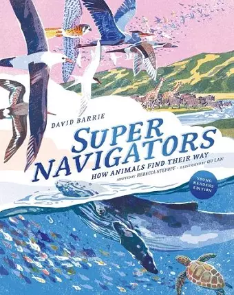 Supernavigators cover