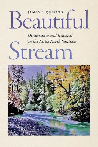 Beautiful Stream cover