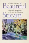 Beautiful Stream cover