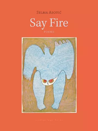 Say Fire cover