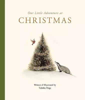 Our Little Adventure at Christmas cover