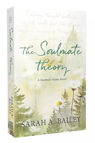 The Soulmate Theory cover
