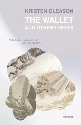 The Wallet and Other Thefts cover