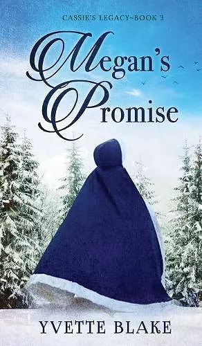 Megan's Promise cover