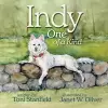Indy, One of a Kind cover