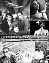 Reflections from a Cinematic Cesspool cover