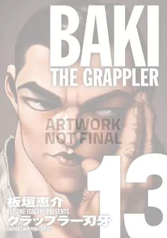 Baki The Grappler (Perfect Edition) Vol. 13 cover