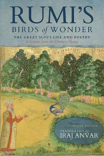 Rumi’s Birds of Wonder cover