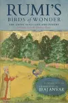 Rumi’s Birds of Wonder cover