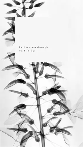 Wild Things cover