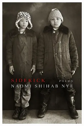 Sidekick cover