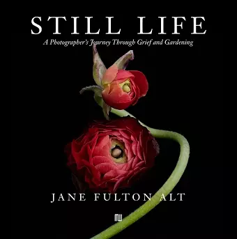 Jane Fulton Alt: Still Life cover