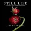 Jane Fulton Alt: Still Life cover