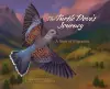 The Turtle Dove's Journey cover