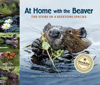 At Home with the Beaver cover