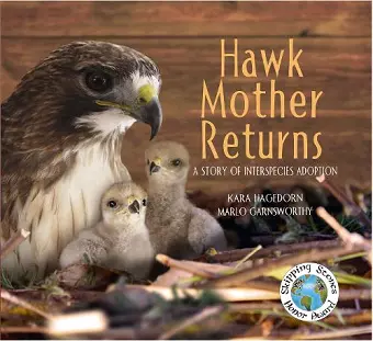Hawk Mother Returns cover