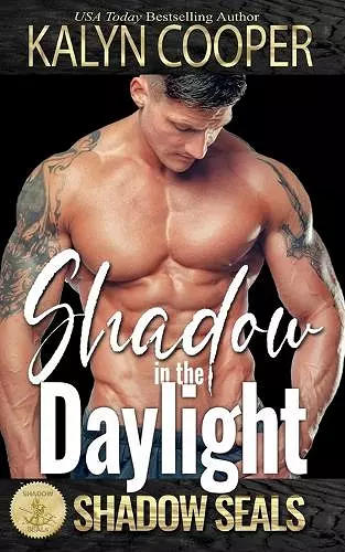 Shadow in the Daylight cover