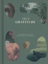 This is Gratitude cover