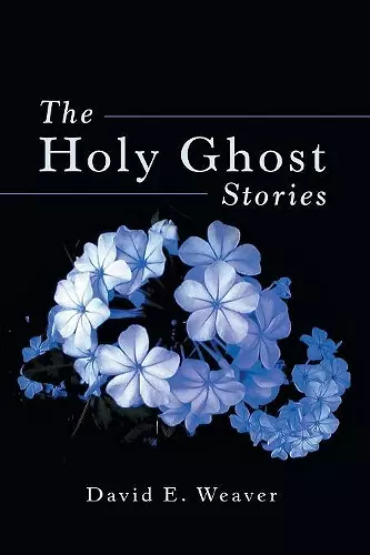 The Holy Ghost Stories cover