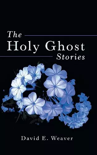 The Holy Ghost Stories cover