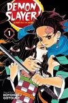 Demon Slayer: Kimetsu no Yaiba, Vol. 1 cover
