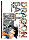 Dragon Ball: A Visual History cover