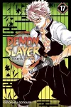 Demon Slayer: Kimetsu no Yaiba, Vol. 17 cover