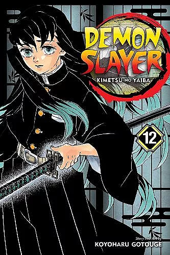 Demon Slayer: Kimetsu no Yaiba, Vol. 12 cover