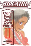 Bleach: Can't Fear Your Own World, Vol. 2 cover