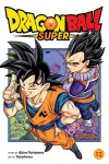 Dragon Ball Super, Vol. 12 cover