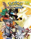 Pokémon: Sun & Moon, Vol. 12 cover