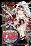 Demon Slayer: Kimetsu no Yaiba, Vol. 22 cover