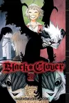 Black Clover, Vol. 29 cover