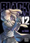 Black Lagoon, Vol. 12 cover