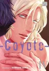 Coyote, Vol. 4 cover
