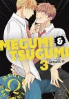 Megumi & Tsugumi, Vol. 3 cover