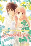 Kimi ni Todoke: From Me to You: Soulmate, Vol. 2 cover