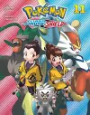 Pokémon: Sword & Shield, Vol. 11 cover