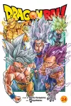 Dragon Ball Super, Vol. 24 cover