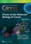 Cancer: Principles and Practice of Oncology Primer of Molecular Biology in Cancer cover