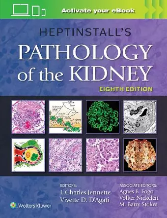 Heptinstall's Pathology of the Kidney cover