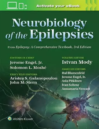 Neurobiology of the Epilepsies cover