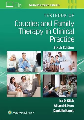Textbook of Couples and Family Therapy in Clinical Practice cover