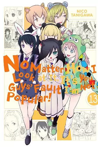 No Matter How I Look at It, It's You Guys' Fault I'm Not Popular!, Vol. 13 cover