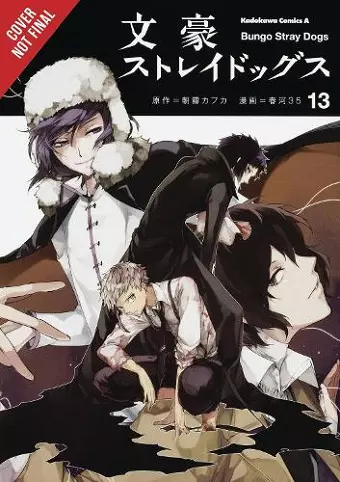 Bungo Stray Dogs, Vol. 13 cover