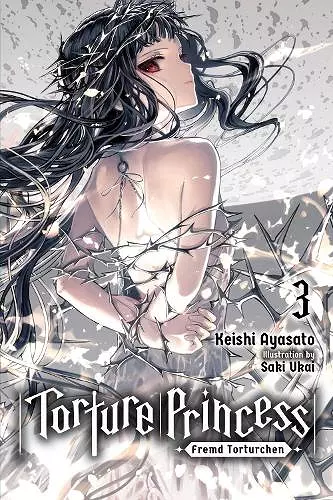 Torture Princess: Fremd Torturchen, Vol. 3 (light novel) cover