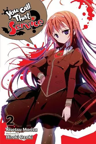 You Call That Service?, Vol. 2 (light novel) cover