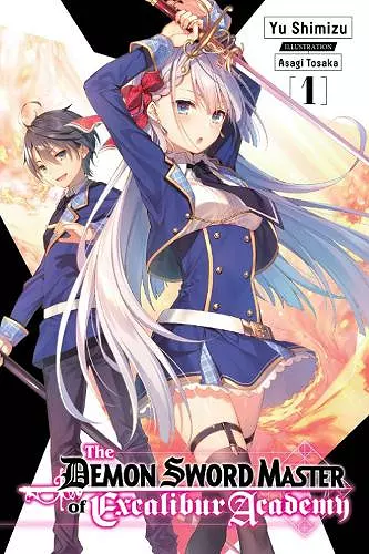 The Demon Sword Master of Excalibur Academy, Vol. 1 (light novel) cover